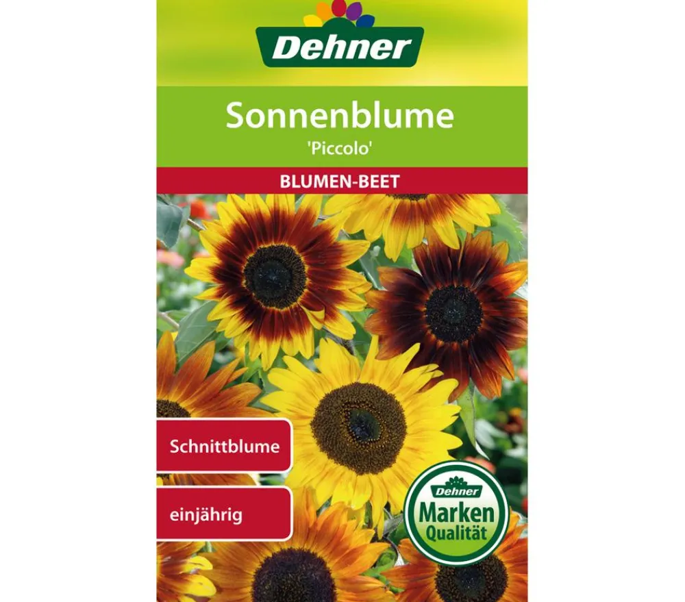 Dehner Samen für Sonnenblume 'Piccolo' New