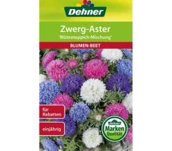 Dehner Samen für Zwerg-Aster 'Blütenteppich-Mischung' Bunt Sale