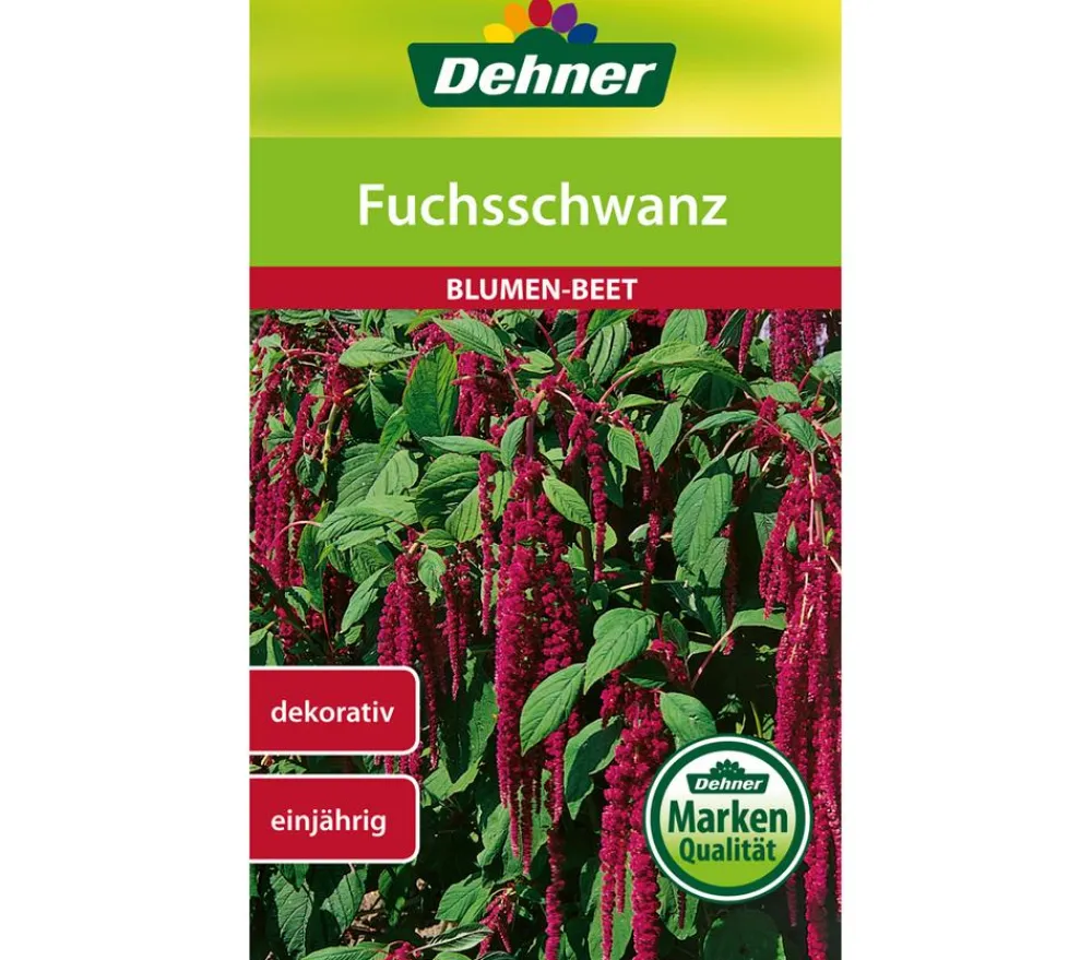 Dehner Samen Fuchsschwanz Rot Outlet