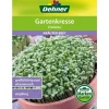 Dehner Kräutersamen - Samen Gartenkresse 'Einfache'