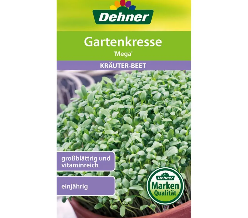 Dehner Samen Gartenkresse 'Mega' New