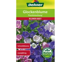 Dehner Blumensamen > Samen Glockenblume 'Prachtmischung'