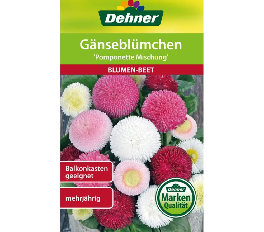 Dehner Samen Gänseblümchen 'Pomponette Mischung' Bunt Clearance