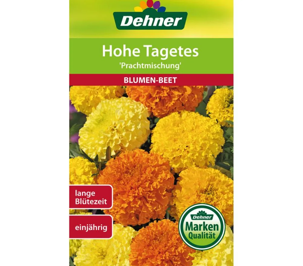 Dehner Blumensamen > Samen Hohe Tagetes 'Prachtmischung'