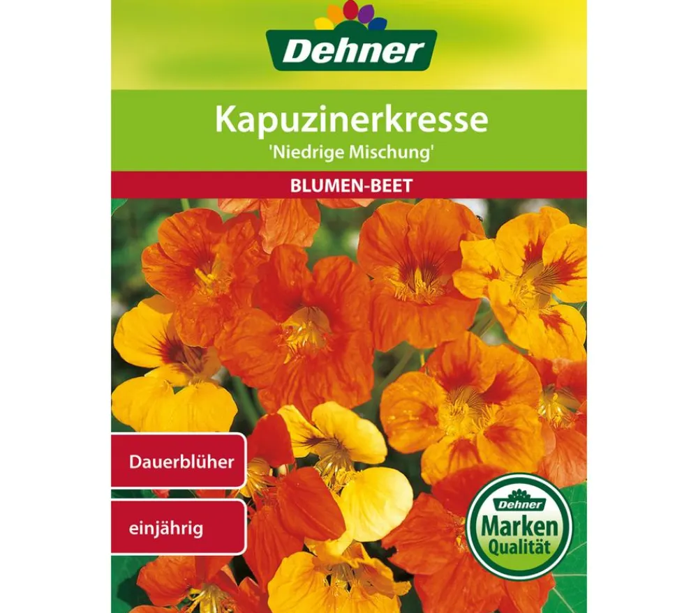 Dehner Blumensamen > Samen Kapuzinerkresse 'Niedrige Mischung'