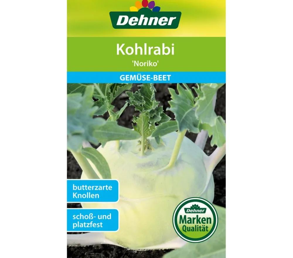 Dehner Gemüsesamen - Samen Kohlrabi 'Noriko'