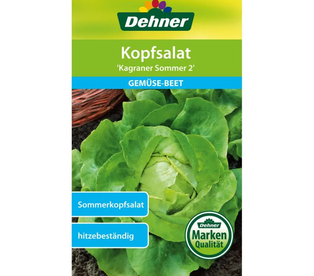 Dehner Gemüsesamen > Samen Kopfsalat 'Kagraner Sommer 2'