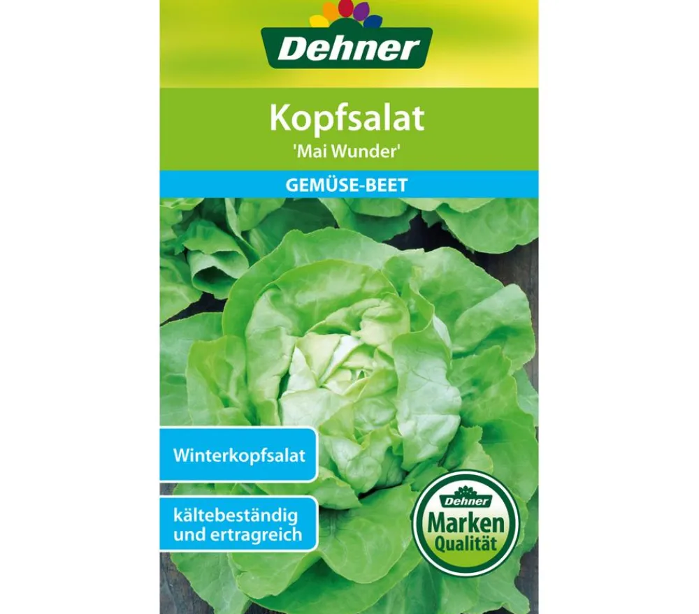 Dehner Gemüsesamen > Samen Kopfsalat 'Mai Wunder'