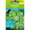 Dehner Samen Kopfsalat 'Ovation' New