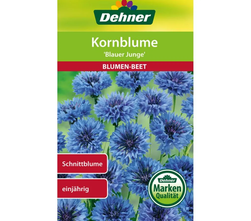Dehner Blumensamen - Samen Kornblume 'er Junge' Blau