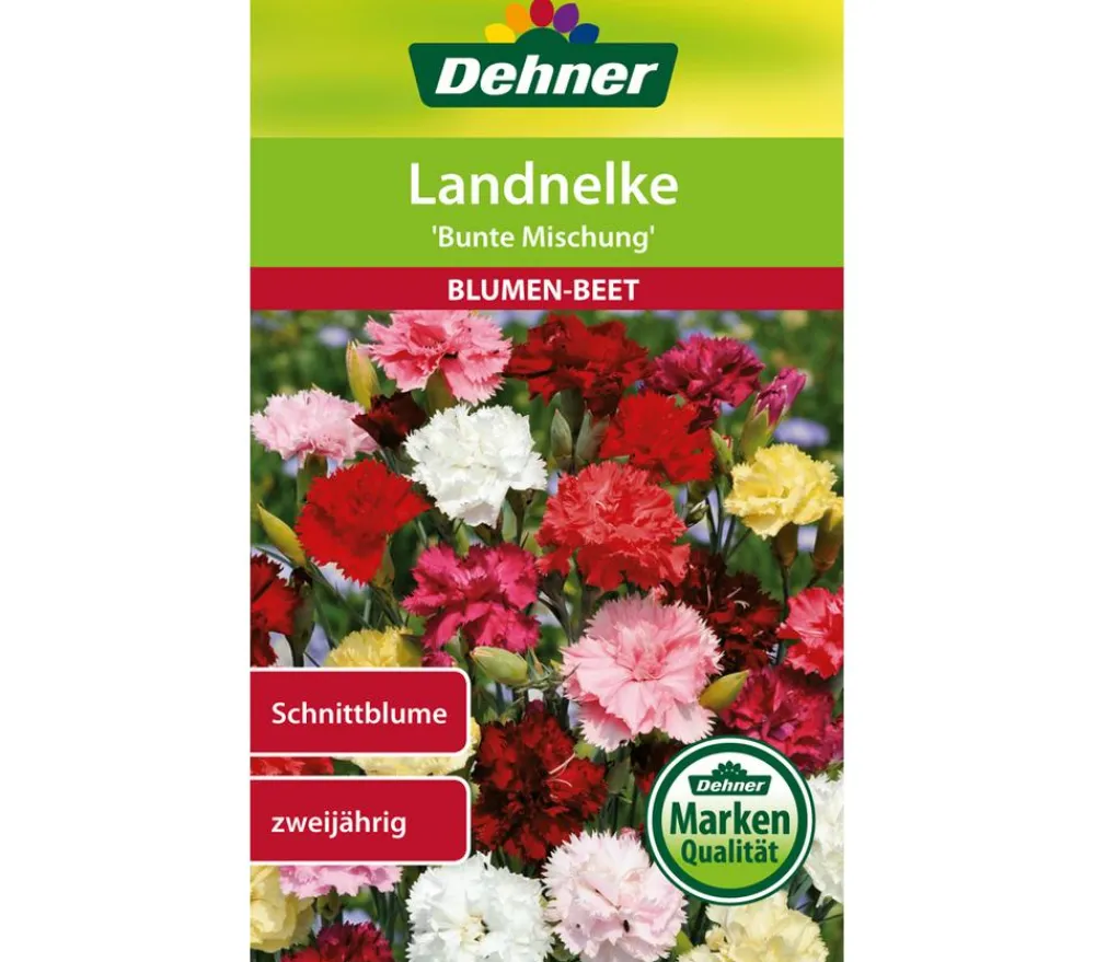 Dehner Blumensamen - Samen Landnelke 'e Mischung' Bunt