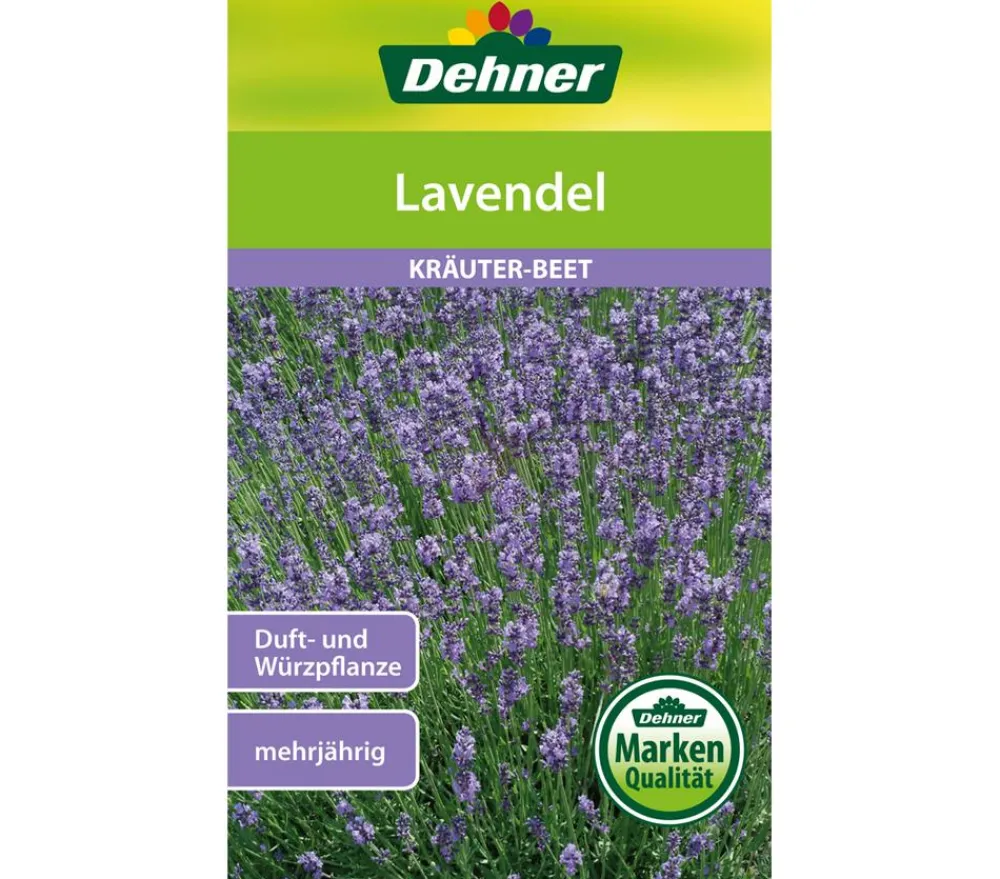Dehner Kräutersamen > Samen Lavendel
