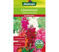 Dehner Blumensamen - Samen Löwenmaul 'Halbhohe Mischung' Bunt