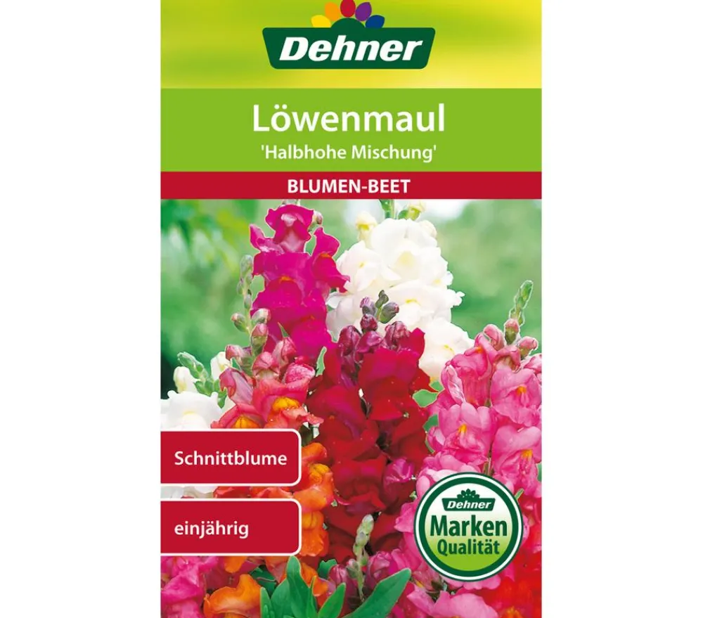Dehner Blumensamen - Samen Löwenmaul 'Halbhohe Mischung' Bunt