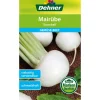 Dehner Samen Mairübe 'Snowball' Best
