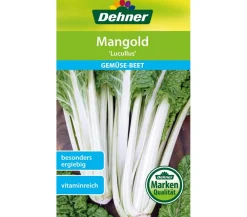 Dehner Samen Mangold 'Lucullus' Outlet