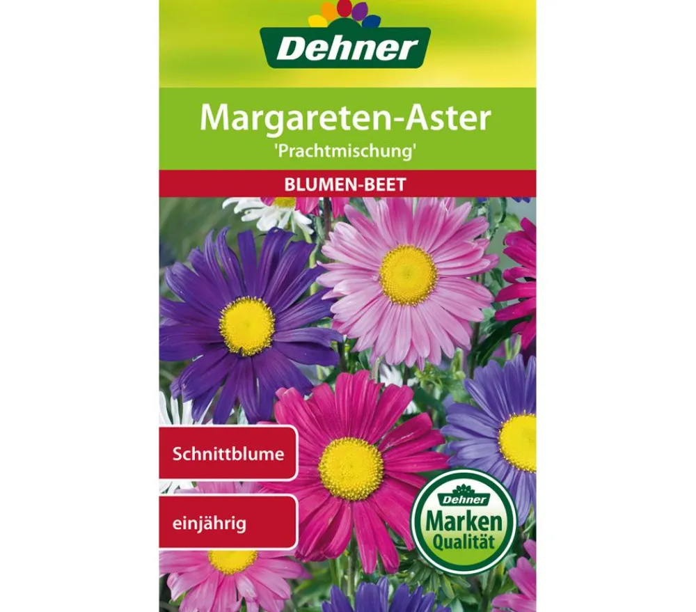 Dehner Blumensamen > Samen Margareten-Aster 'Prachtmischung'