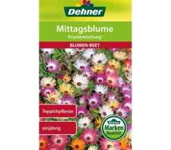 Dehner Blumensamen > Samen Mittagsblume 'Prachtmischung'