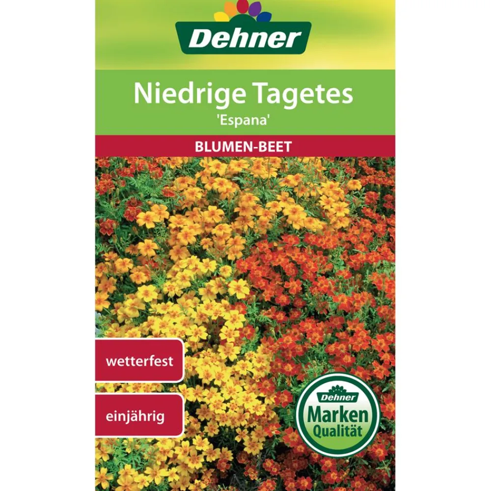 Dehner Blumensamen > Samen Niedrige Tagetes 'España'