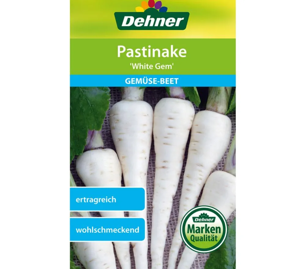 Dehner Gemüsesamen > Samen Pastinake 'White Gem'