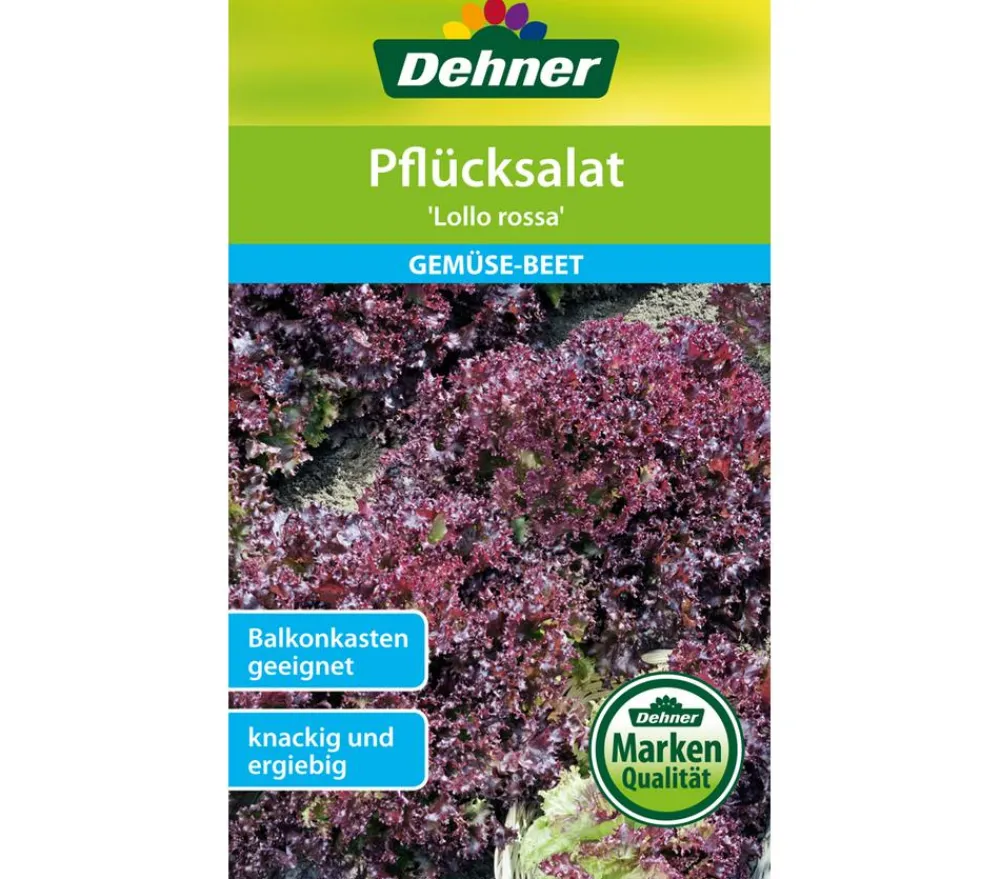 Dehner Gemüsesamen - Samen Pflücksalat 'Lollo rossa'