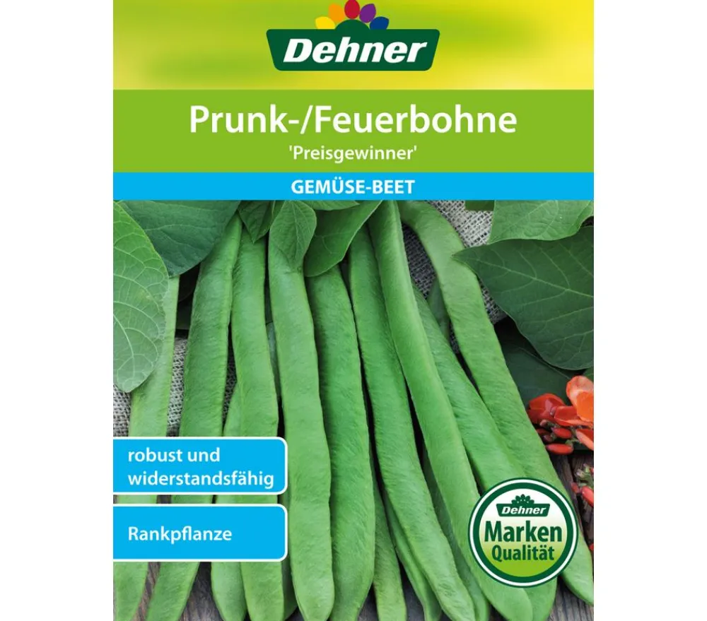 Dehner Gemüsesamen - Samen Prunk-/Feuerbohne 'Preisgewinner'