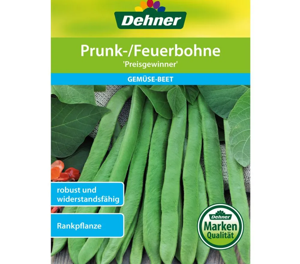 Dehner Samen Prunk-/Feuerbohne 'Preisgewinner' New