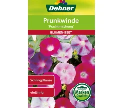 Dehner Blumensamen - Samen Prunkwinde 'Prachtmischung' Bunt