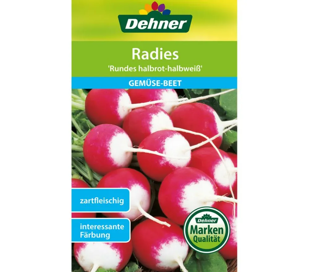 Dehner Gemüsesamen - Samen Radies 'Rundes halbrot-halbweiß'