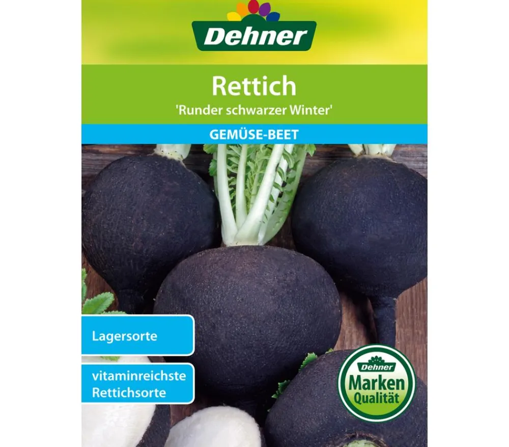Dehner Samen Rettich `Runder schwarzer Winter` Outlet