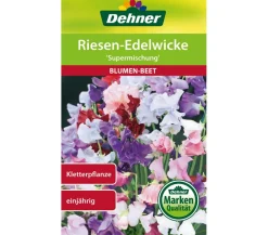 Dehner Samen Riesen-Edelwicke 'Supermischung' Bunt Outlet