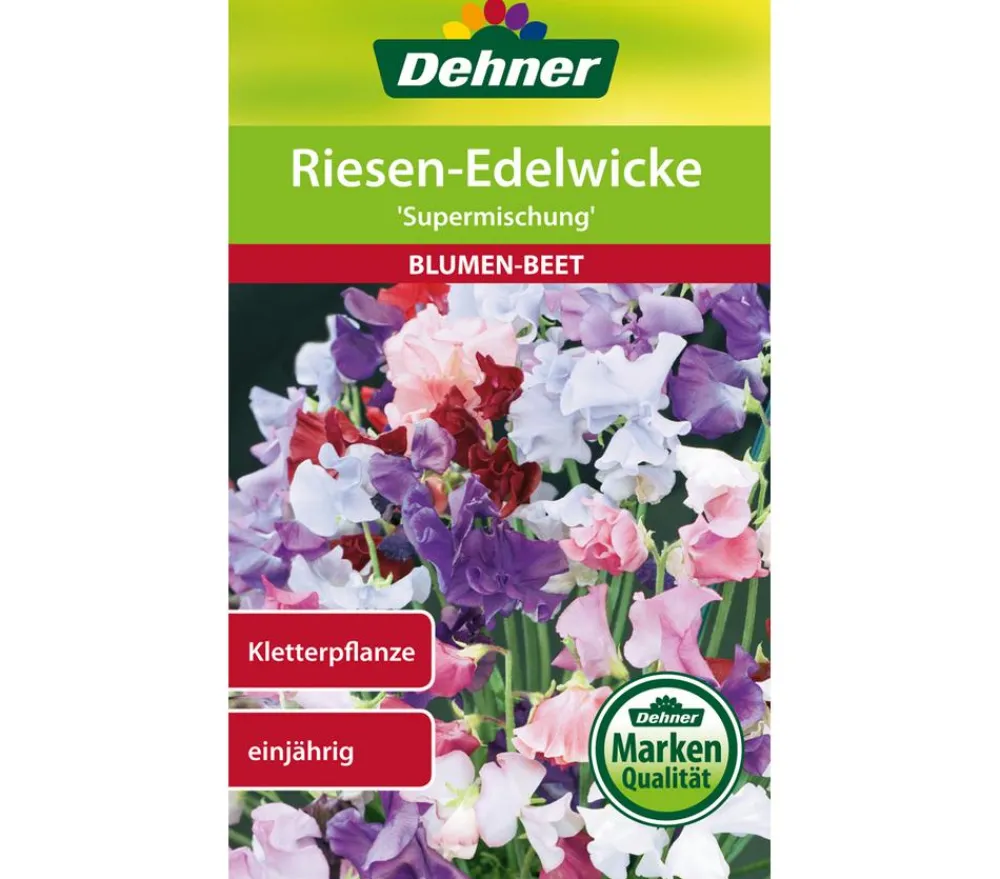 Dehner Samen Riesen-Edelwicke 'Supermischung' Bunt Outlet