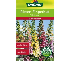 Dehner Blumensamen > Samen Riesen-Fingerhut 'Mischung'