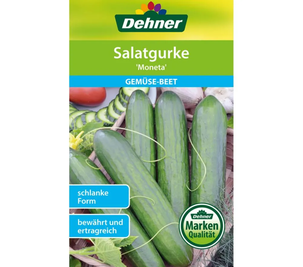 Dehner Gemüsesamen > Samen Salatgurke 'Moneta'