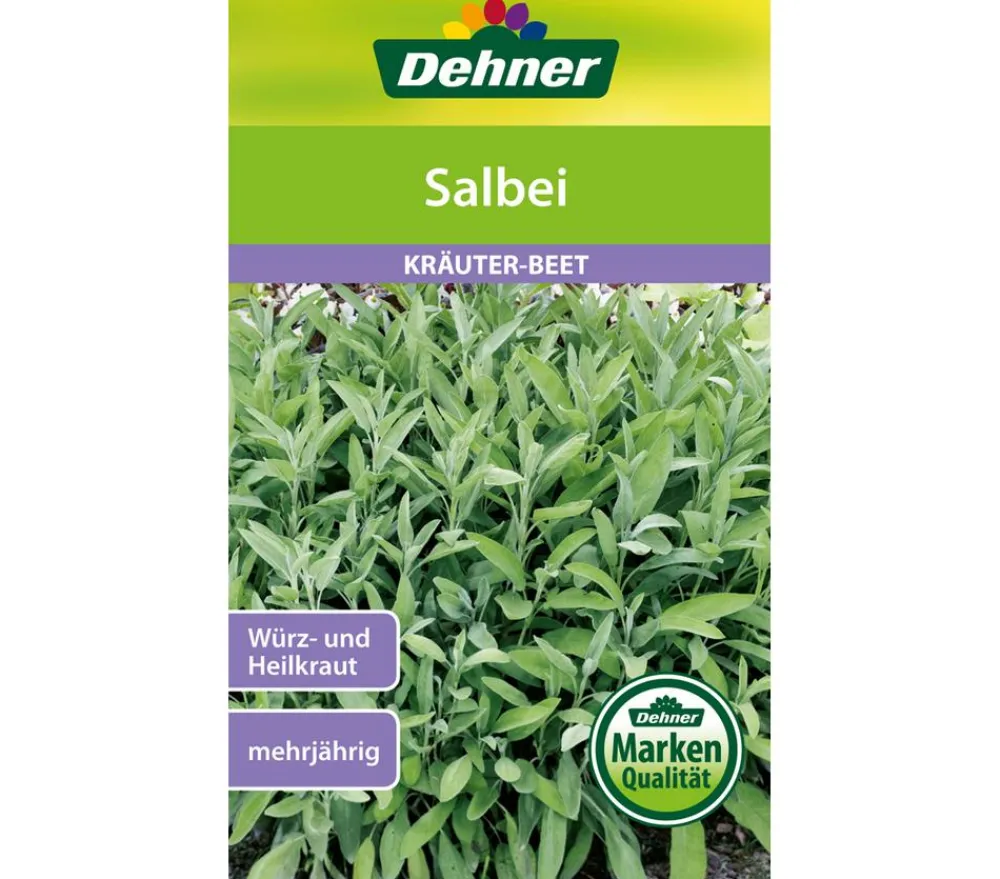 Dehner Samen Salbei Online