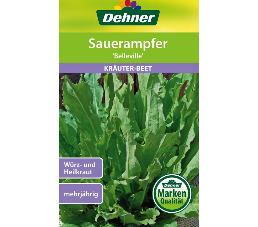 Dehner Kräutersamen - Samen Sauerampfer 'Belleville'