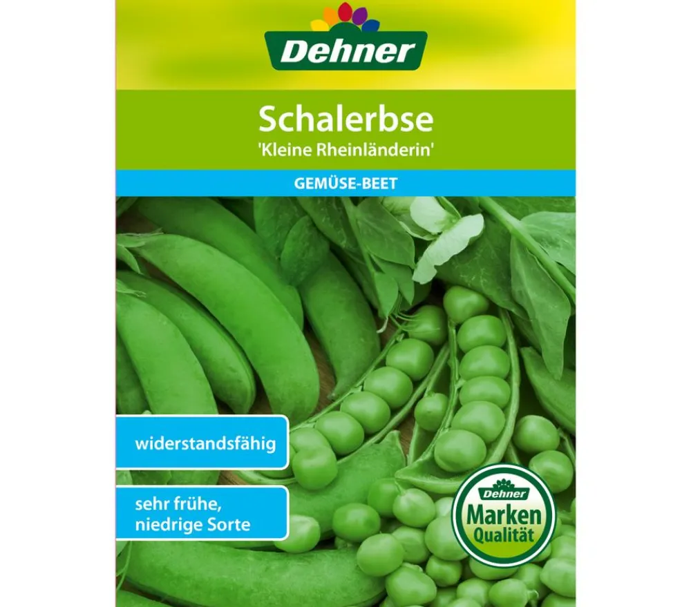 Dehner Gemüsesamen - Samen Schalerbse 'Kleine Rheinländerin'