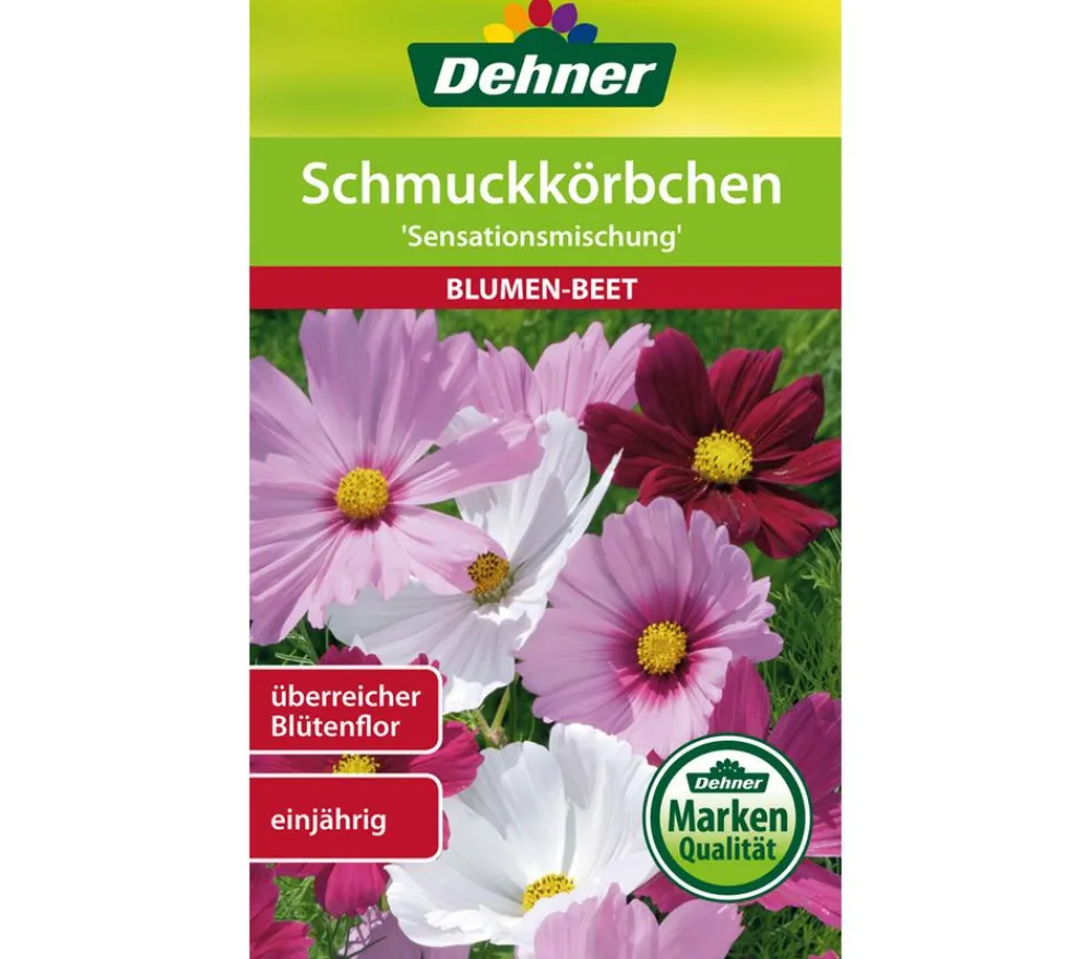 Dehner Samen Schmuckkörbchen 'Sensationsmischung' Bunt Outlet