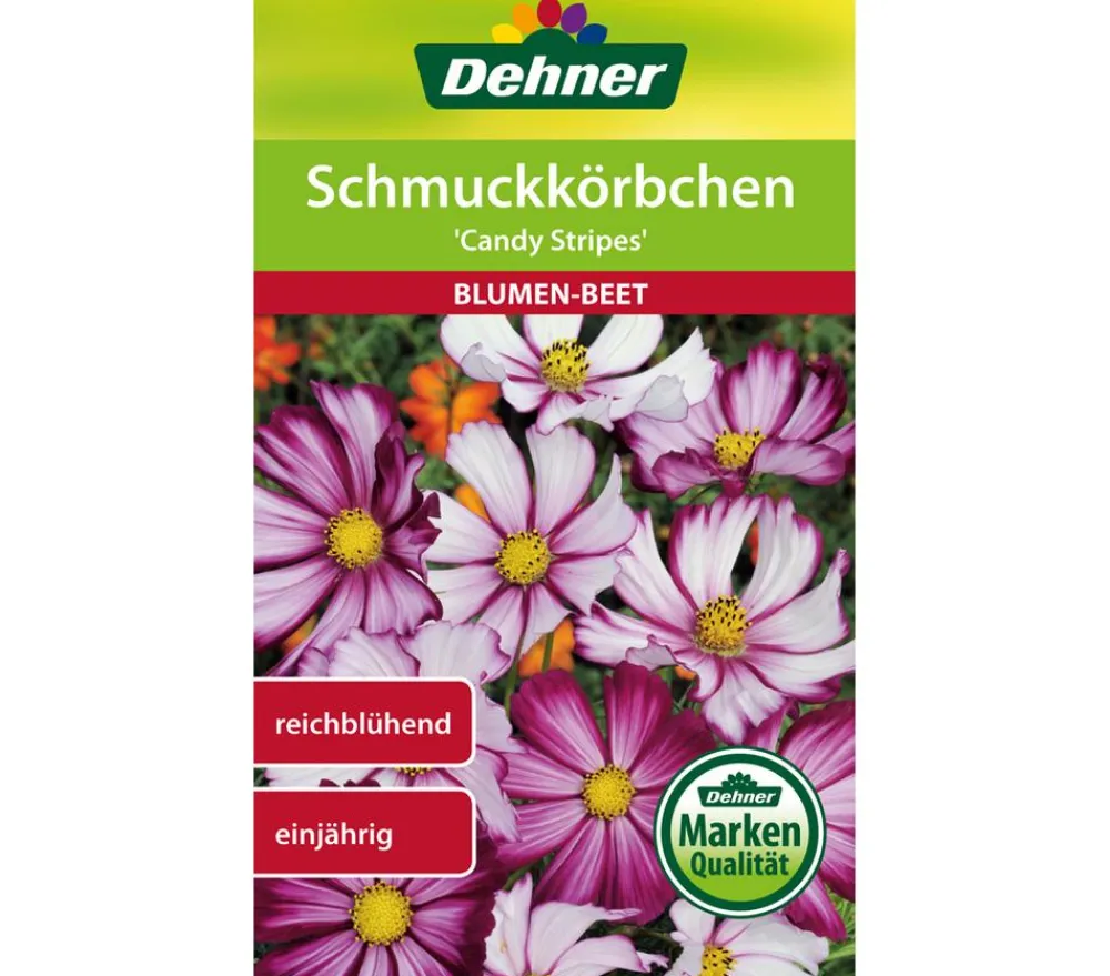 Dehner Blumensamen - Samen Schmuckkörbchen 'Candy Stripes'