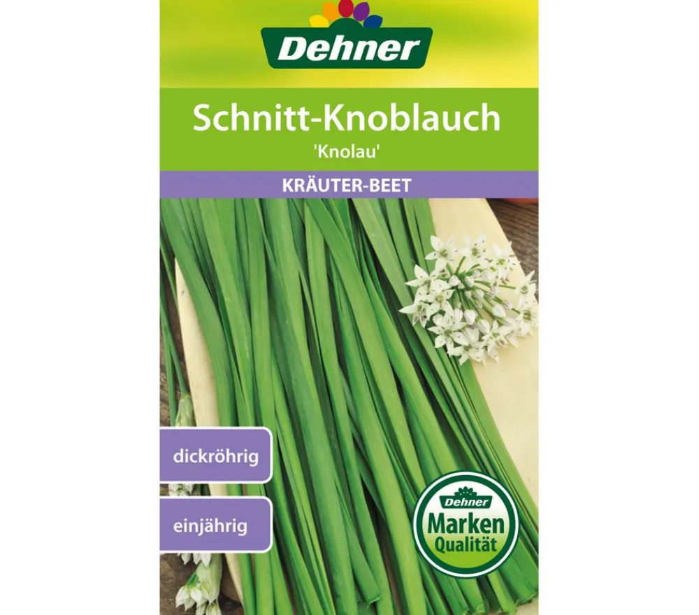 Dehner Samen Schnittknoblauch 'Knolau' Online