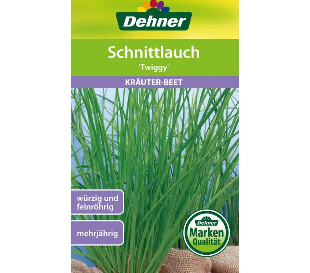 Dehner Samen Schnittlauch 'Twiggy' Online