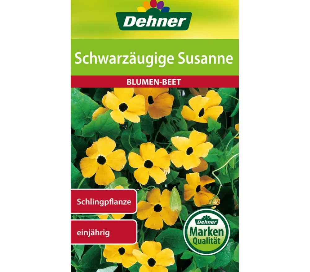 Dehner Samen Schwarzäugige 'Susanne' Gelb Discount