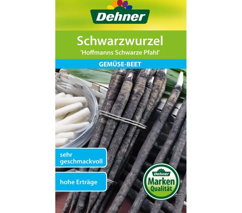 Dehner Gemüsesamen > Samen Schwarzwurzel 'Hoffmanns schwarze Pfahl'