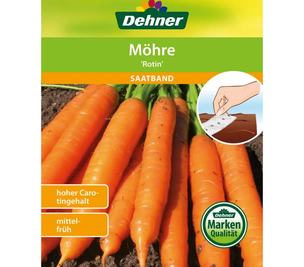 Dehner Markenqualität Dehner Samen-Set Easy Going Outlet