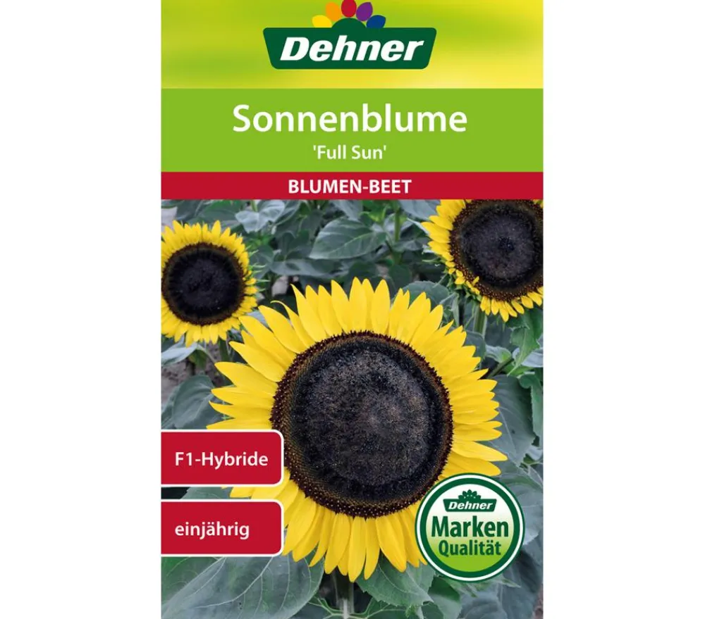 Dehner Blumensamen > Samen Sonnenblume 'Full Sun'
