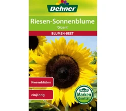Dehner Samen Sonnenblume 'Gigant' Gelb Sale