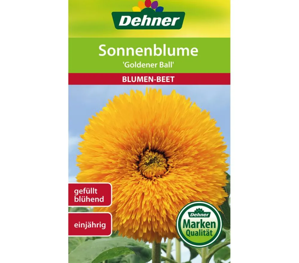 Dehner Samen Sonnenblume 'Goldener Ball' Gelb New