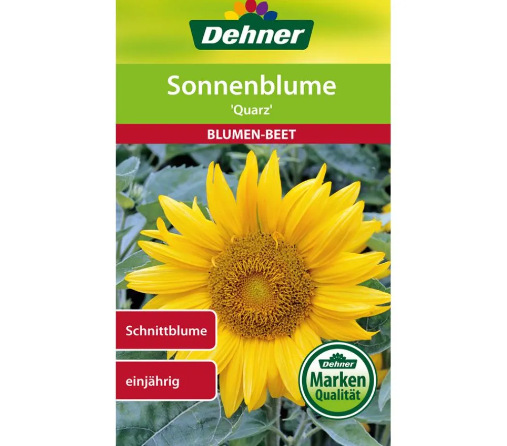 Dehner Blumensamen - Samen Sonnenblume 'Quarz' Gelb