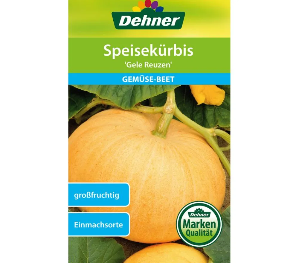 Dehner Gemüsesamen > Samen Speisekürbis 'Gele Reuzen'