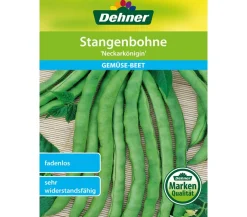Dehner Gemüsesamen - Samen Stangenbohne 'Neckarkönigin'
